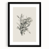 Vintage Botanical Flower Art Print – Black and White Floral Wall Art