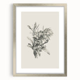 Vintage Botanical Flower Art Print – Black and White Floral Wall Art