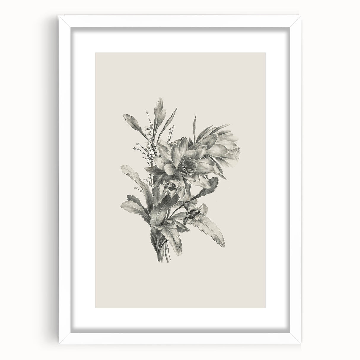 Vintage Botanical Flower Art Print – Black and White Floral Wall Art