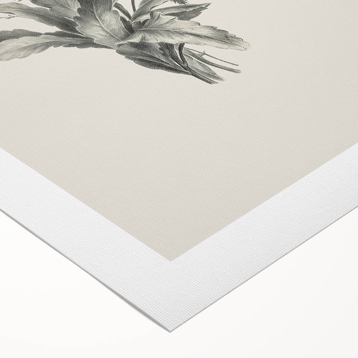 Vintage Botanical Flower Art Print – Black and White Floral Wall Art
