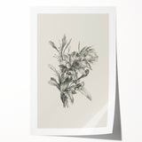 Vintage Botanical Flower Art Print – Black and White Floral Wall Art