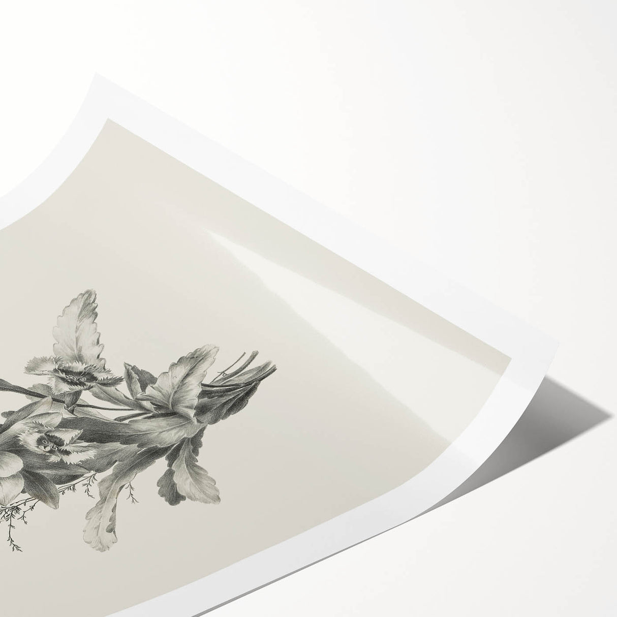 Vintage Botanical Flower Art Print – Black and White Floral Wall Art