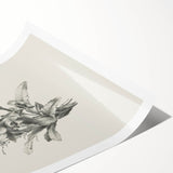 Vintage Botanical Flower Art Print – Black and White Floral Wall Art