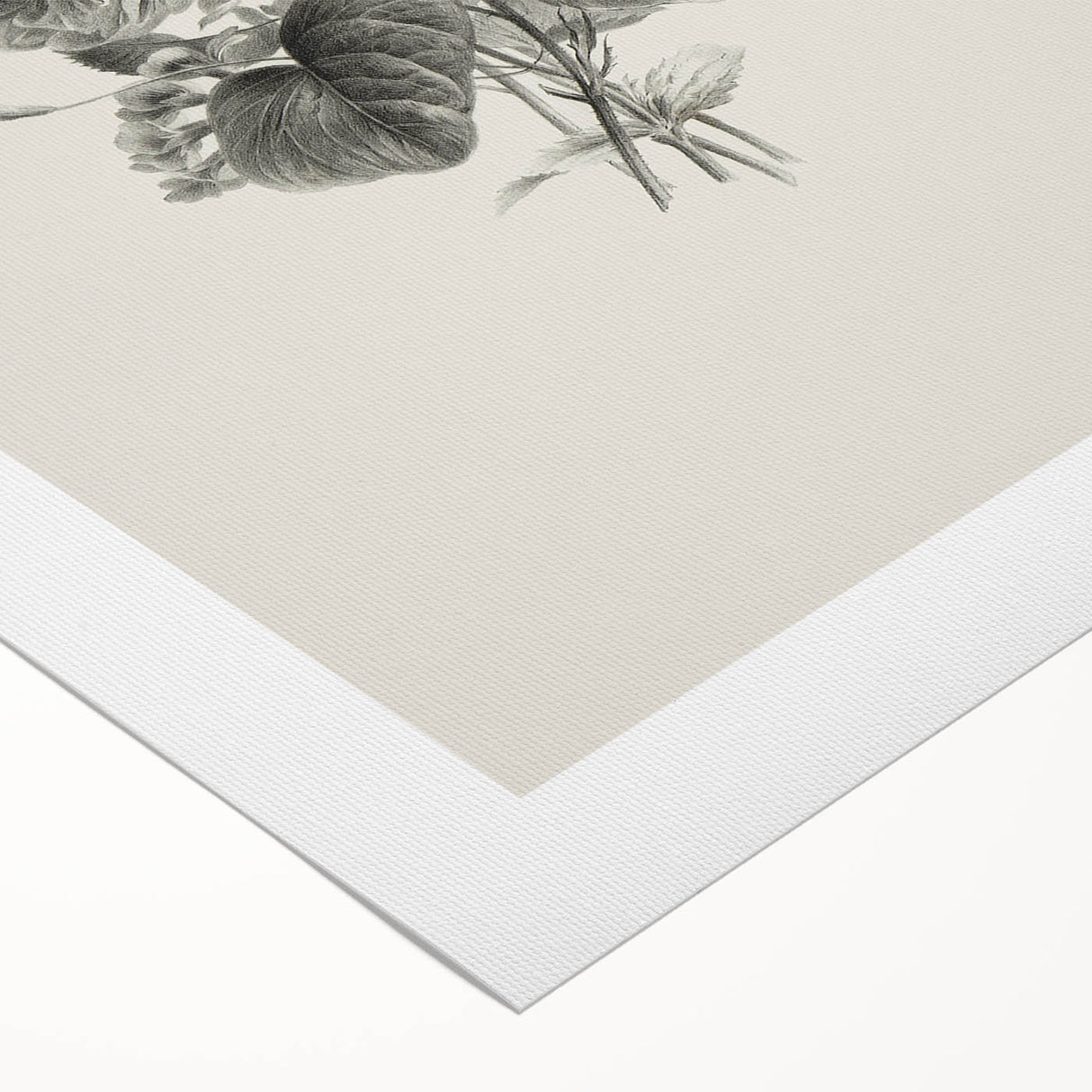 Vintage Botanical Floral Art Print – Black and White Floral Wall Art