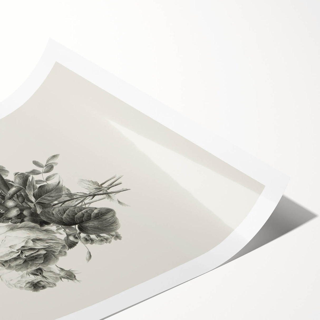 Vintage Botanical Floral Art Print – Black and White Floral Wall Art