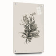 Vintage Botanical Flower Art Print – Black and White Floral Wall Art