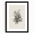 Vintage Botanical Flower Art Print – Black and White Floral Wall Art