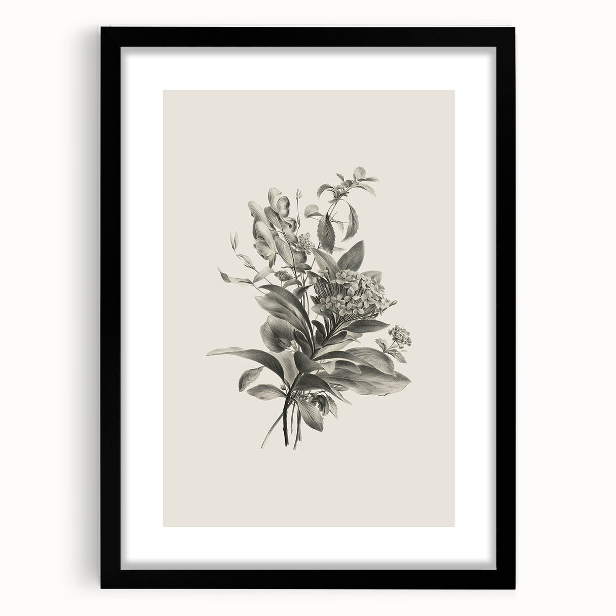 Vintage Botanical Flower Art Print – Black and White Floral Wall Art
