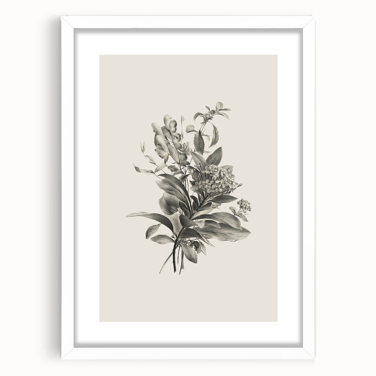 Vintage Botanical Flower Art Print – Black and White Floral Wall Art