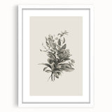 Vintage Botanical Flower Art Print – Black and White Floral Wall Art