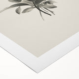 Vintage Botanical Flower Art Print – Black and White Floral Wall Art