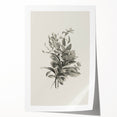 Vintage Botanical Flower Art Print – Black and White Floral Wall Art