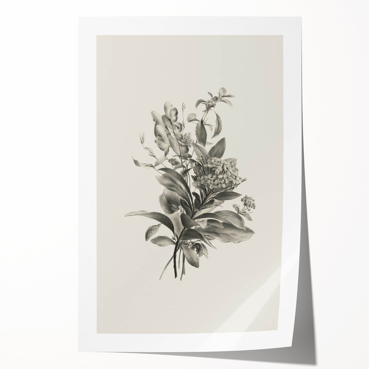 Vintage Botanical Flower Art Print – Black and White Floral Wall Art