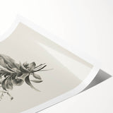 Vintage Botanical Flower Art Print – Black and White Floral Wall Art