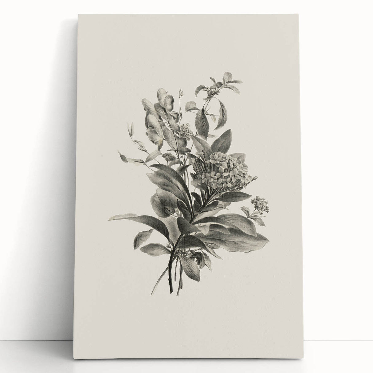 Vintage Botanical Flower Art Print – Black and White Floral Wall Art