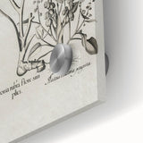 Vintage Botanical Peony and Flower Art Print – Black and White Botanical Wall Art