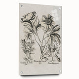 Vintage Botanical Peony and Flower Art Print – Black and White Botanical Wall Art
