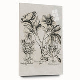 Vintage Botanical Peony and Flower Art Print – Black and White Botanical Wall Art