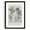 Vintage Botanical Peony and Flower Art Print – Black and White Botanical Wall Art