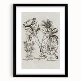 Vintage Botanical Peony and Flower Art Print – Black and White Botanical Wall Art