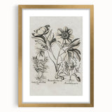 Vintage Botanical Peony and Flower Art Print – Black and White Botanical Wall Art