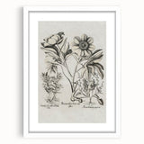 Vintage Botanical Peony and Flower Art Print – Black and White Botanical Wall Art