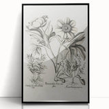 Vintage Botanical Peony and Flower Art Print – Black and White Botanical Wall Art