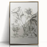 Vintage Botanical Peony and Flower Art Print – Black and White Botanical Wall Art