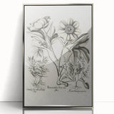 Vintage Botanical Peony and Flower Art Print – Black and White Botanical Wall Art