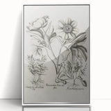 Vintage Botanical Peony and Flower Art Print – Black and White Botanical Wall Art