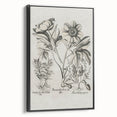Vintage Botanical Peony and Flower Art Print – Black and White Botanical Wall Art