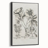 Vintage Botanical Peony and Flower Art Print – Black and White Botanical Wall Art