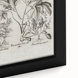 Vintage Botanical Peony and Flower Art Print – Black and White Botanical Wall Art