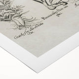 Vintage Botanical Peony and Flower Art Print – Black and White Botanical Wall Art