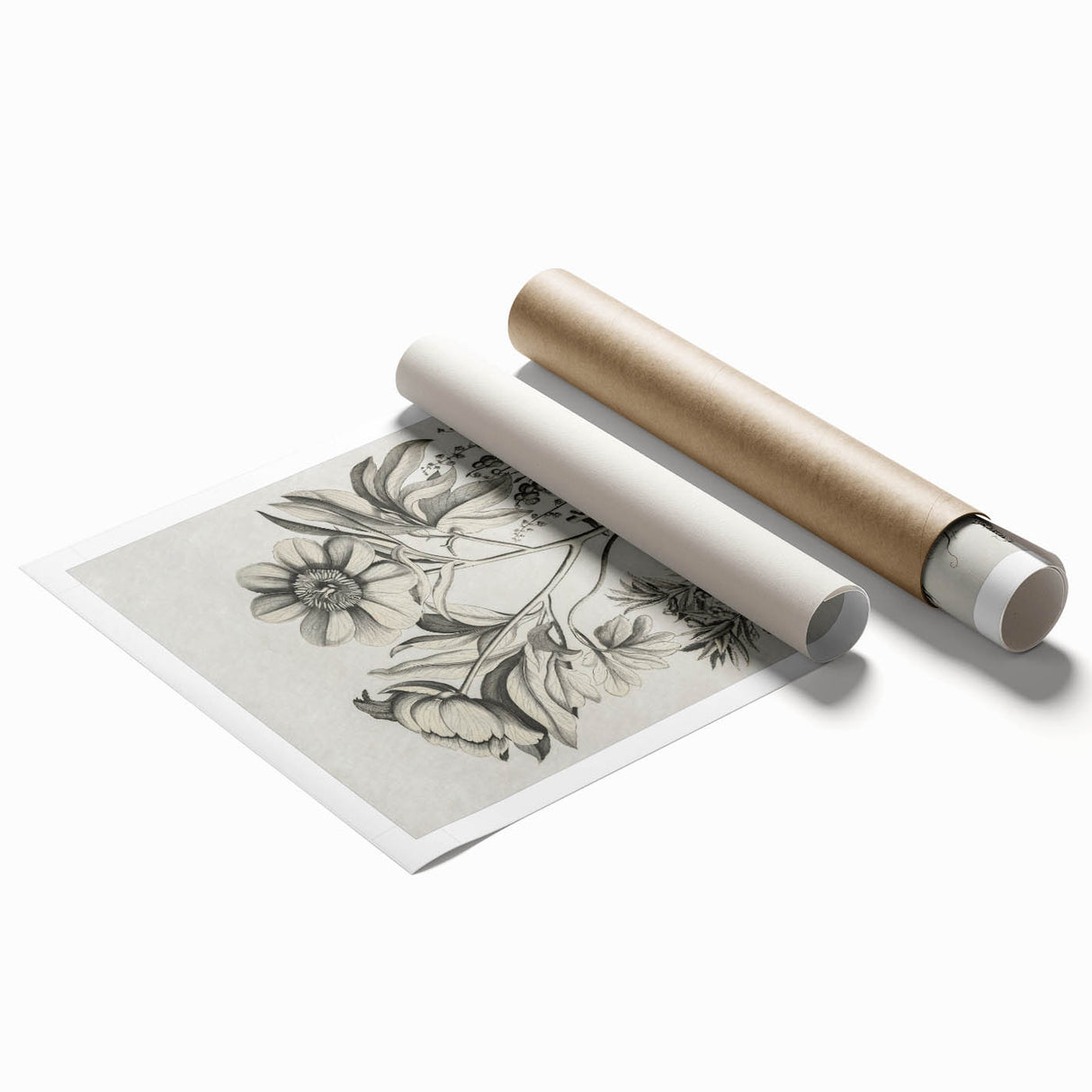 Vintage Botanical Peony and Flower Art Print – Black and White Botanical Wall Art