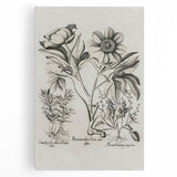 Vintage Botanical Peony and Flower Art Print – Black and White Botanical Wall Art