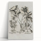 Vintage Botanical Peony and Flower Art Print – Black and White Botanical Wall Art