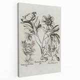 Vintage Botanical Peony and Flower Art Print – Black and White Botanical Wall Art