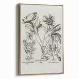 Vintage Botanical Peony and Flower Art Print – Black and White Botanical Wall Art