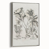 Vintage Botanical Peony and Flower Art Print – Black and White Botanical Wall Art