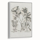 Vintage Botanical Peony and Flower Art Print – Black and White Botanical Wall Art