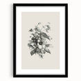 Vintage Botanical Art Print – Elegant Flower Illustration Art