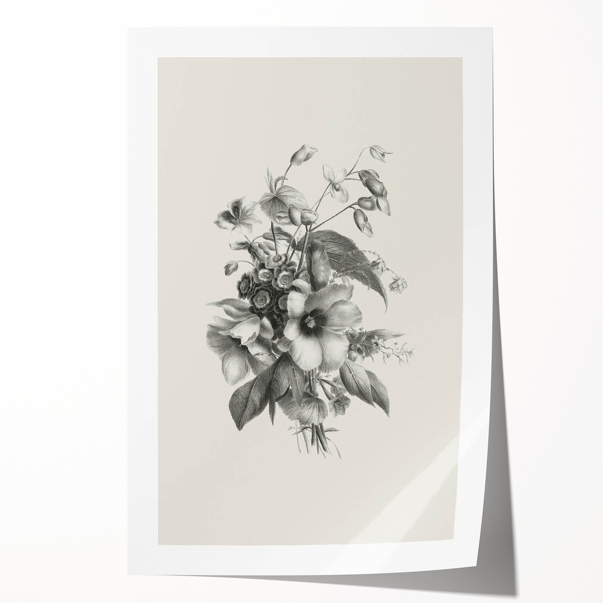 Vintage Botanical Art Print – Elegant Flower Illustration Art