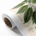 Vintage Botanical Art Print - Coffea Arabica Coffee Plant Illustration