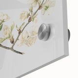 Delicate Cherry Blossom Art Prints: Elegant Floral Wall Art