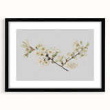 Delicate Cherry Blossom Art Prints: Elegant Floral Wall Art