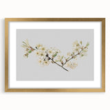 Delicate Cherry Blossom Art Prints: Elegant Floral Wall Art