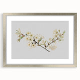 Delicate Cherry Blossom Art Prints: Elegant Floral Wall Art