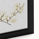 Delicate Cherry Blossom Art Prints: Elegant Floral Wall Art