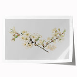 Delicate Cherry Blossom Art Prints: Elegant Floral Wall Art
